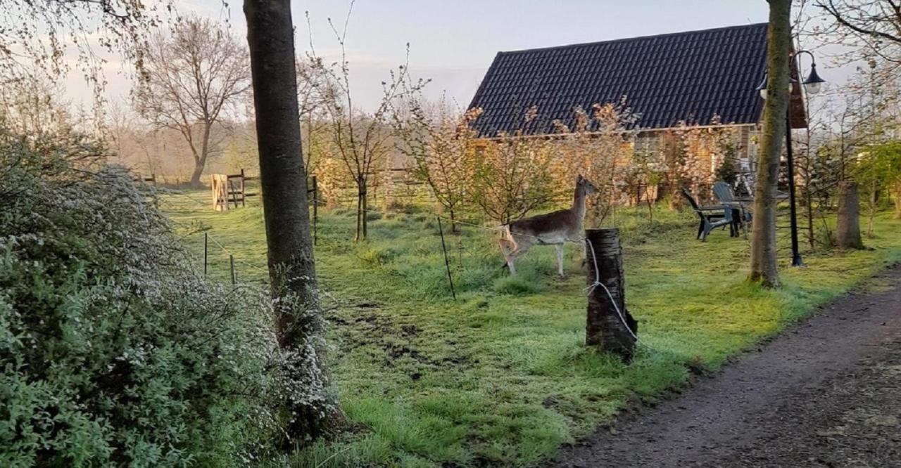 B&B Landgoed Sonneborghe Kollumerzwaag Extérieur photo