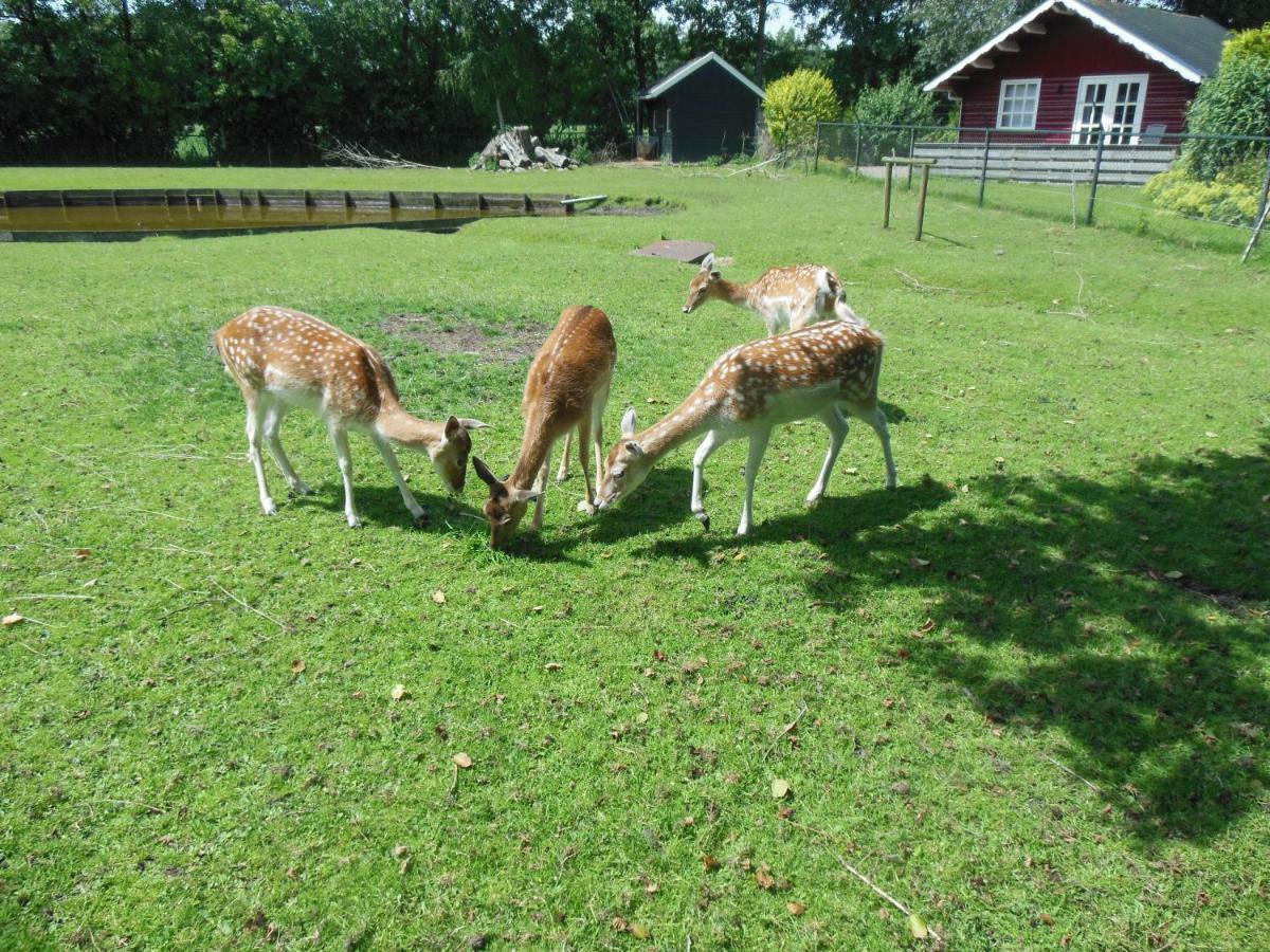 B&B Landgoed Sonneborghe Kollumerzwaag Extérieur photo